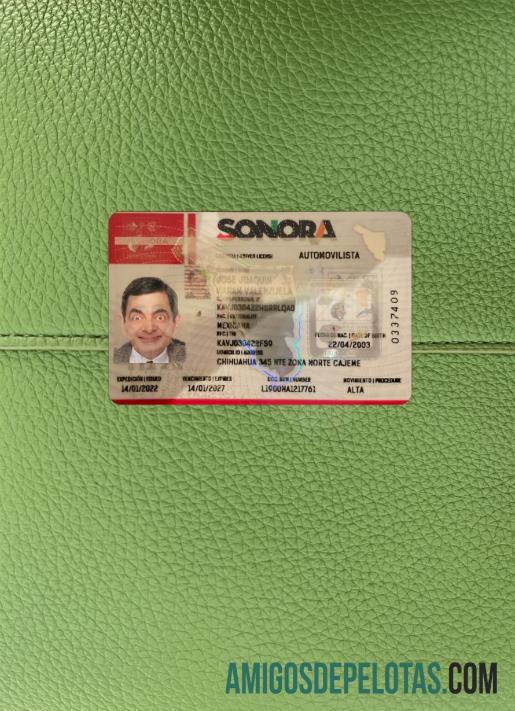 Carteira de motorista do estado de Sonora no México fotolook frente amostra